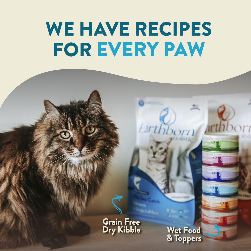 
                  
                    Earthborn Holistic Wild Sea Catch Grain Free Natural Cat Food
                  
                