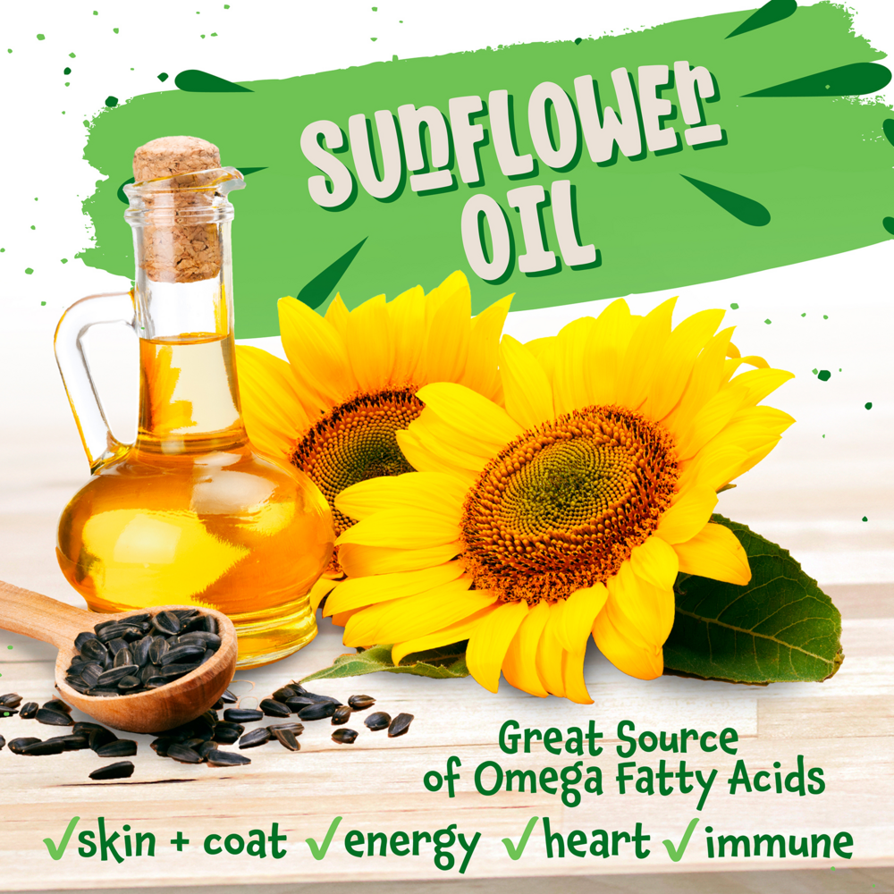 
                  
                    Earthborn Holistic Chicken Catcciatori Grain Free Canned Cat Food
                  
                