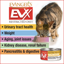 Load image into Gallery viewer, Evangers EVX Restricted Diet Low Phosphorus Boneless Beef for Cats