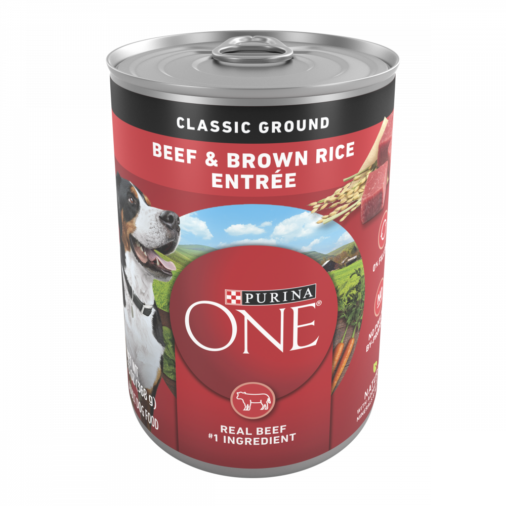 One Beef and Brown Rice Wet Dog Food