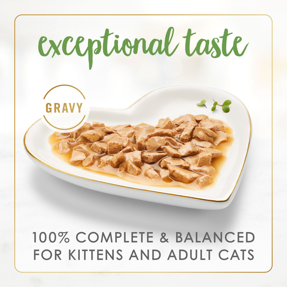 
                  
                    Fancy Feast Gravy Lovers Salmon Canned Cat Food
                  
                