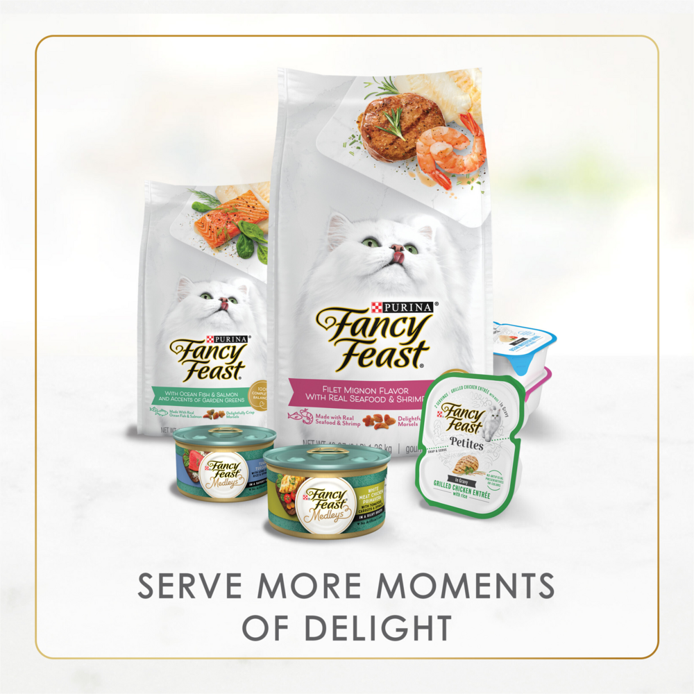 Purina Fancy Feast Gravy Lovers Turkey Wet Cat Food