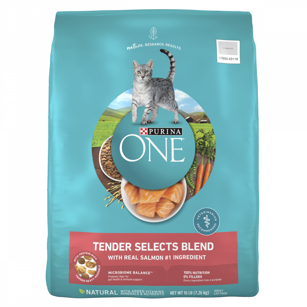 Purina One Tender Selects Blend Real Salmon Dry Cat Food