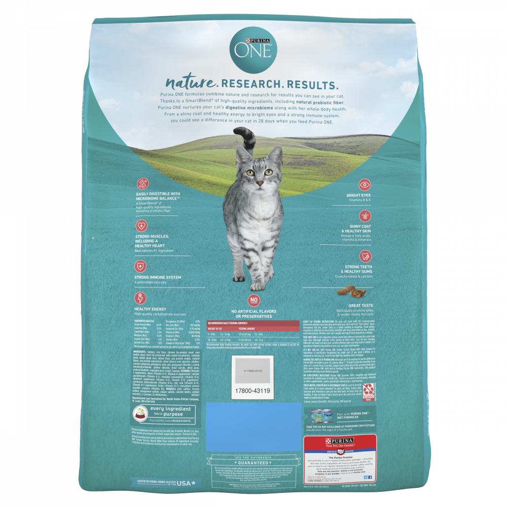 Purina One Tender Selects Blend Real Salmon Dry Cat Food