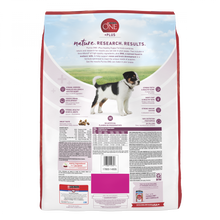 Load image into Gallery viewer, Purina ONE Healthy Puppy Chicken Recipe Dry Dog Food