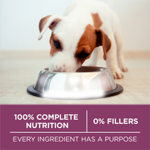 Load image into Gallery viewer, Purina ONE Healthy Puppy Chicken Recipe Dry Dog Food