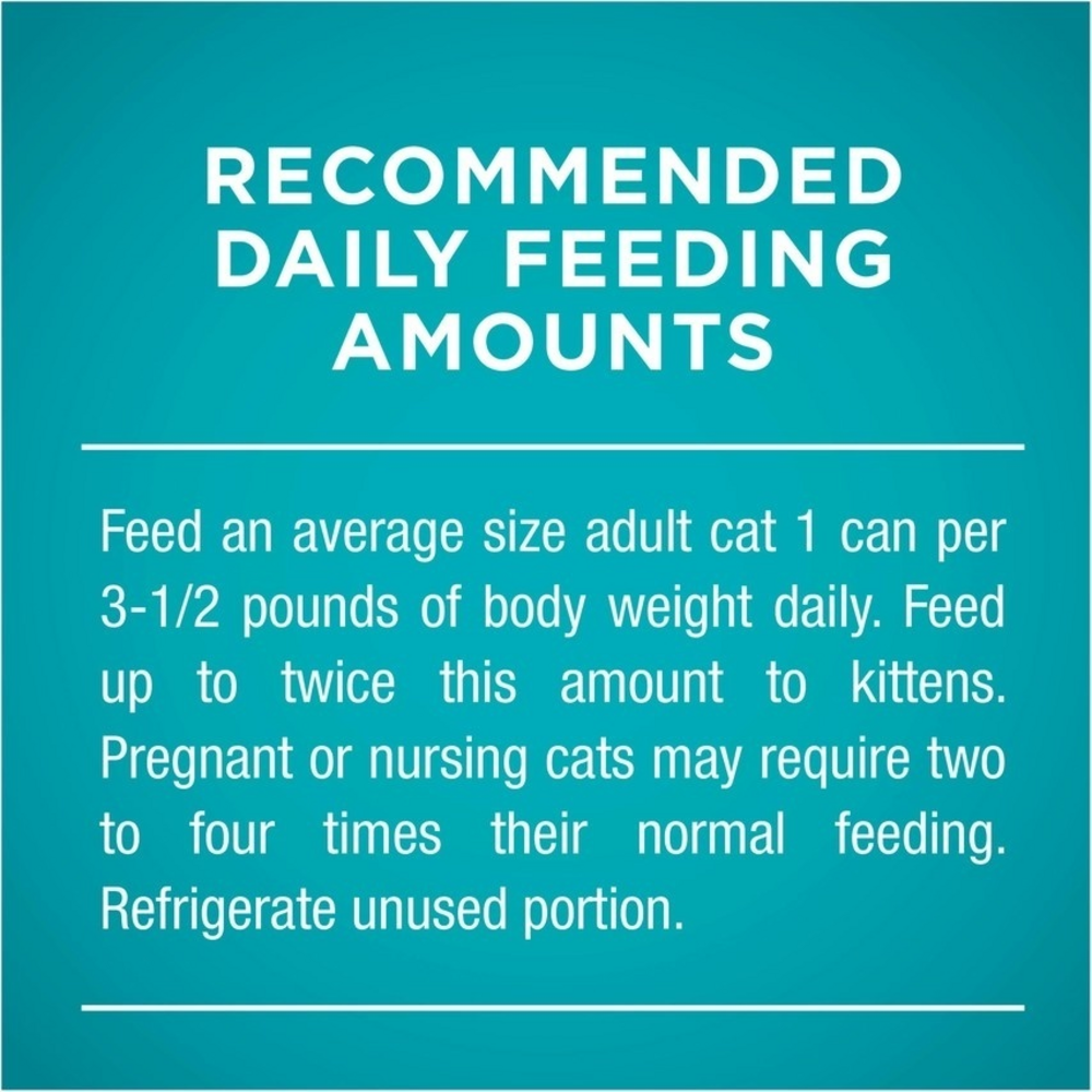 One Grain Free Premium Pate Whitefish Wet Cat Food