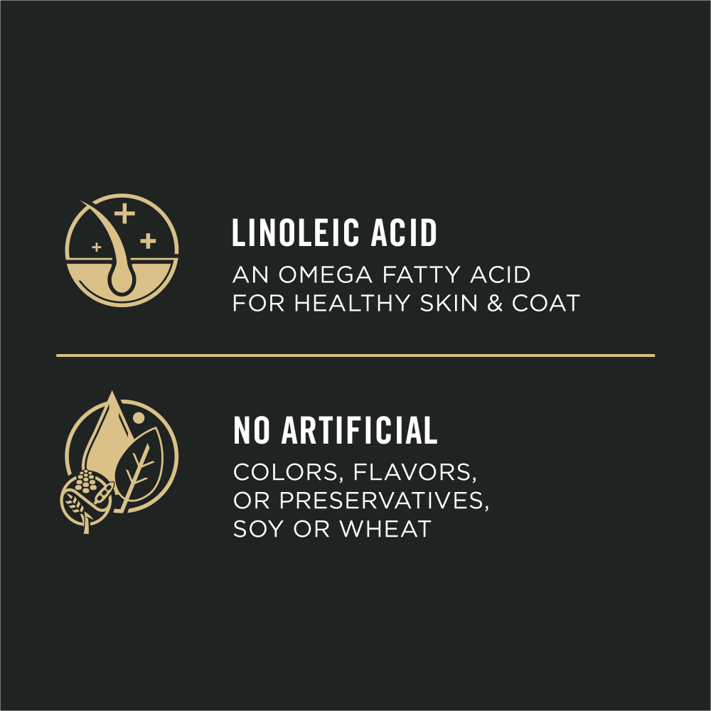 
                  
                    Purina Pro Plan Sensitive Skin & Stomach Salmon & Rice Pate Canned Dog Food
                  
                