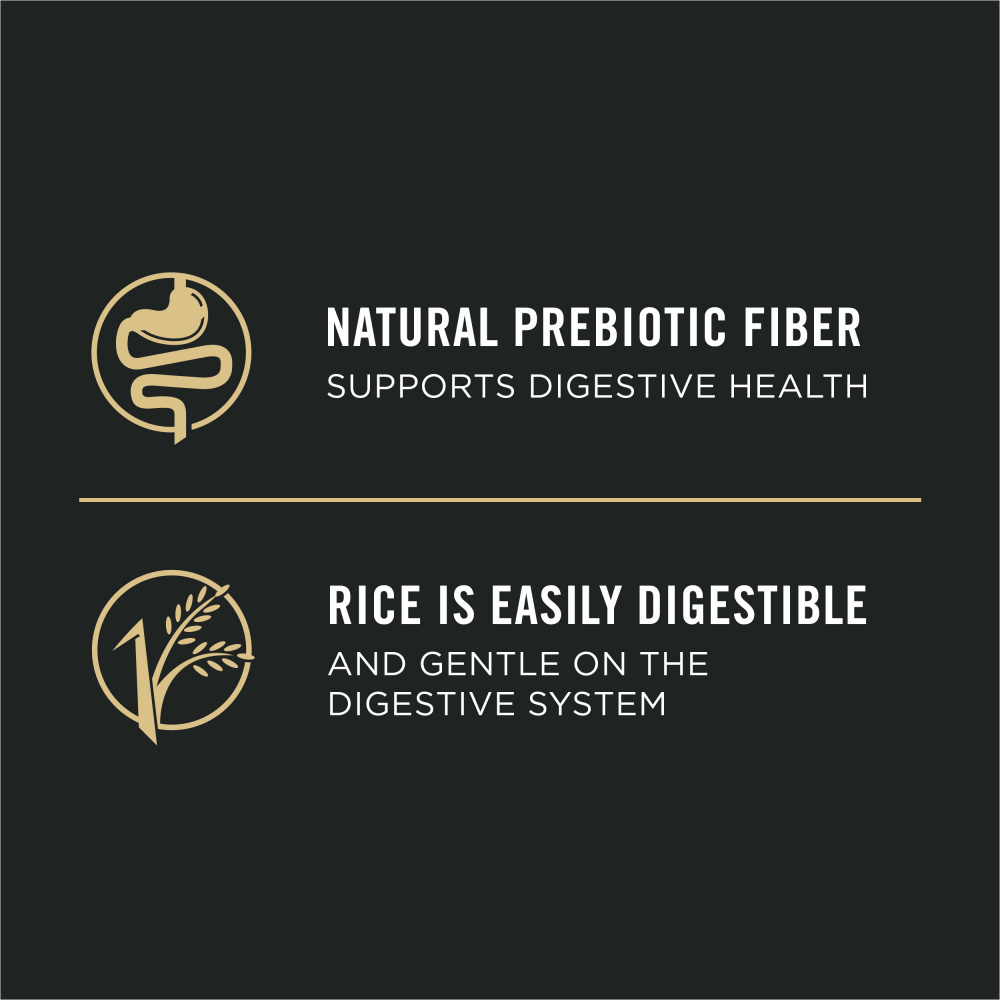 Purina Pro Plan Sensitive Skin & Stomach Salmon & Rice Pate Canned Dog Food