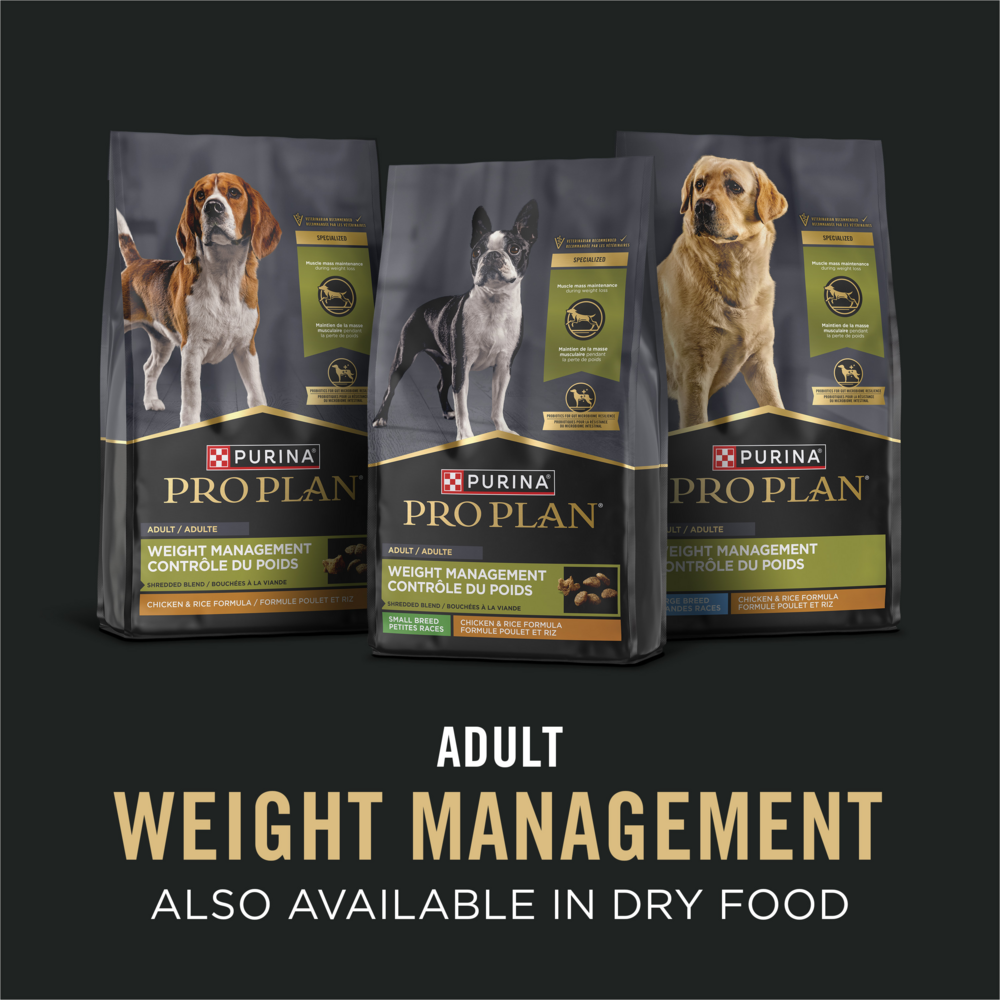 
                  
                    Purina Pro Plan Adult Weight Management Turkey & Rice Entree Canned Dog Food
                  
                