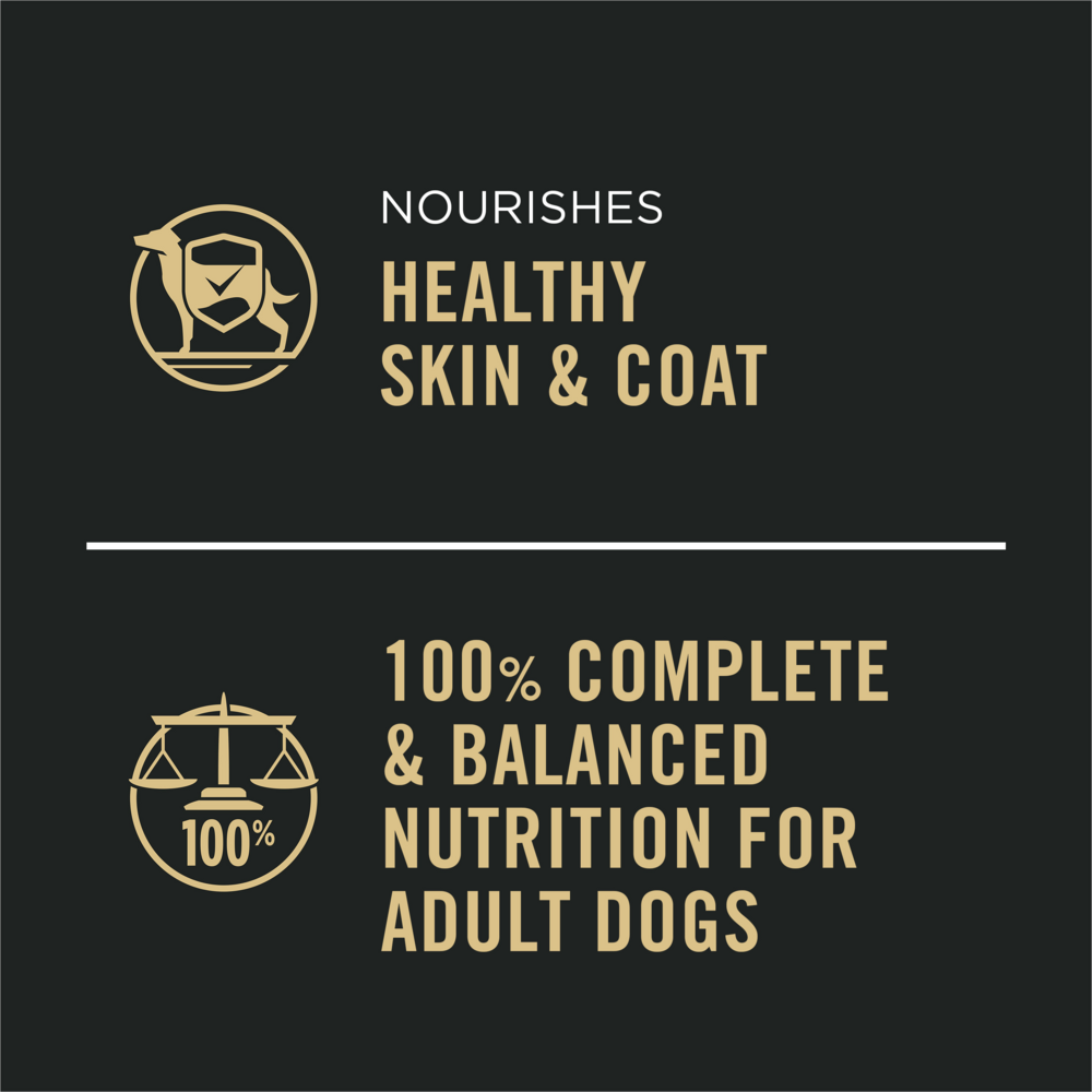 
                  
                    Purina Pro Plan Complete Essentials Adult Beef & Rice Entree Canned Dog Food
                  
                
