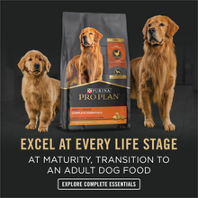 Load image into Gallery viewer, Purina Pro Plan Focus Puppy Chicken &amp; Rice Canned Dog Food