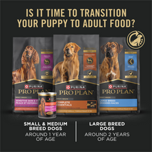 Load image into Gallery viewer, Purina Pro Plan Focus Puppy Chicken &amp; Rice Canned Dog Food