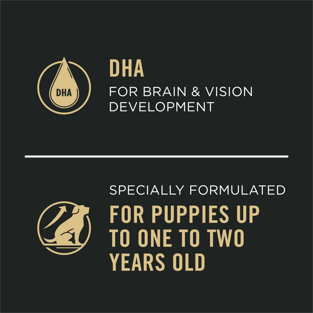 
                  
                    Purina Pro Plan Puppy Chicken & Rice Canned Dog Food
                  
                