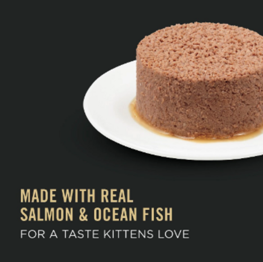 Purina Pro Plan Kitten Classic Salmon & Ocean Fish Entree Canned Cat Food