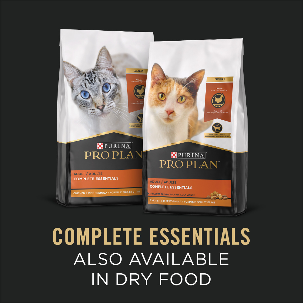 
                  
                    Purina Pro Plan Complete Essentials Adult Seafood Stew Entree in Sauce Canned Cat Food
                  
                