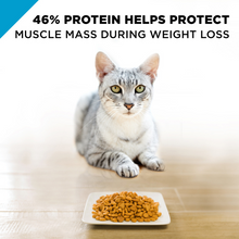 Load image into Gallery viewer, Purina Pro Plan Focus Weight Management Chicken &amp; Rice Formula Dry Cat Food