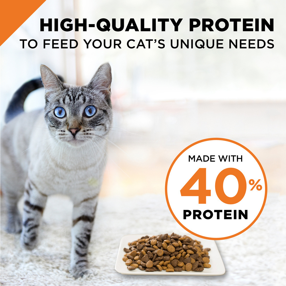 
                  
                    Purina Pro Plan Savor Chicken & Rice Formula Dry Cat Food
                  
                