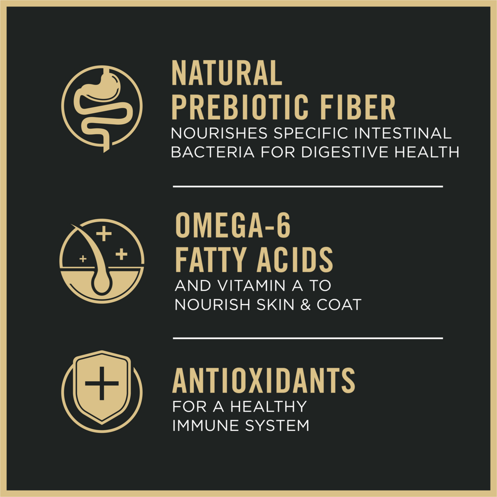 
                  
                    Purina Pro Plan Complete Essentials Chicken & Rice Formula Dry Cat Food
                  
                