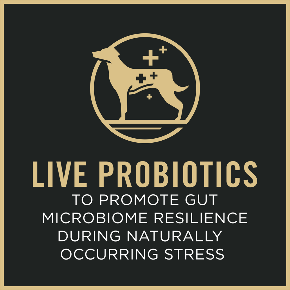 
                  
                    Purina Pro Plan Adult Small Breed Formula Dry Dog Food
                  
                