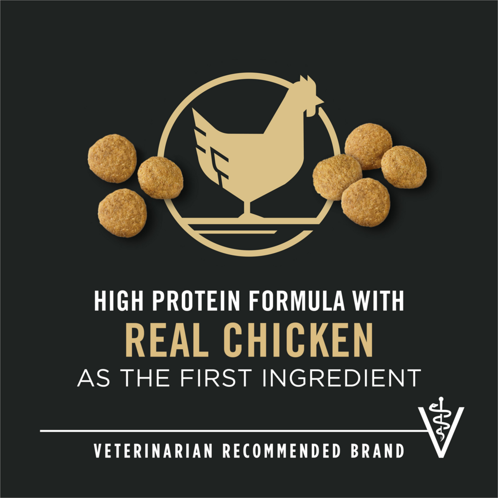 
                  
                    Purina Pro Plan Adult Large Breed Weight Management Formula Dry Dog Food
                  
                