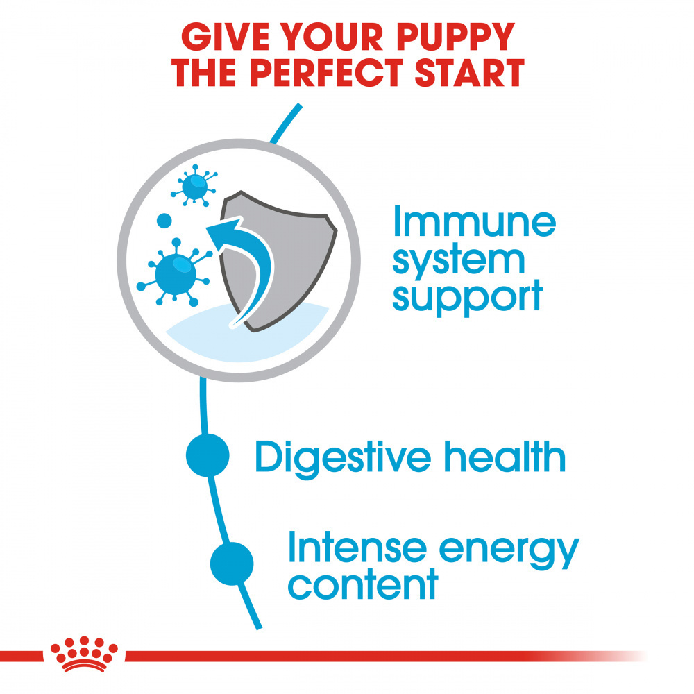 
                  
                    Royal Canin Small Puppy Dry Dog Food
                  
                