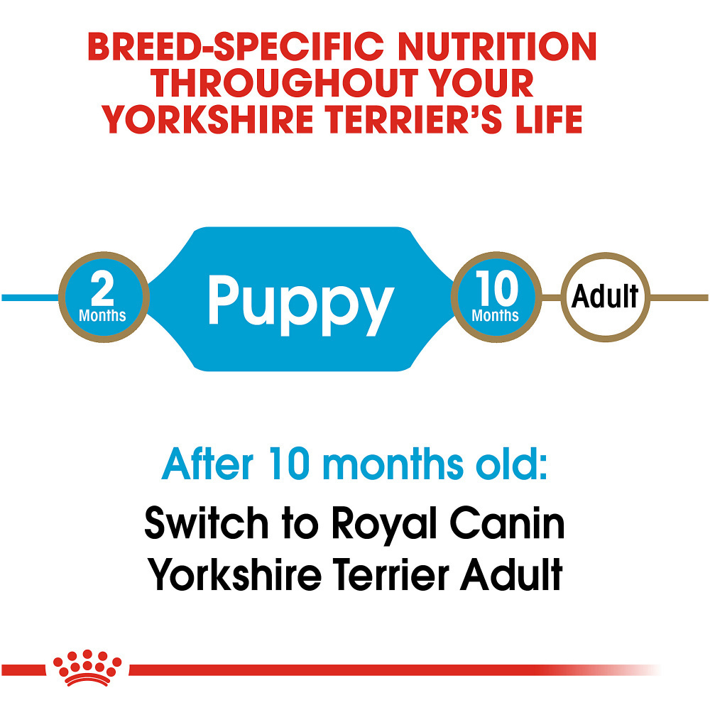 
                  
                    Royal Canin Yorkshire Terrier Puppy Dry Dog Food
                  
                