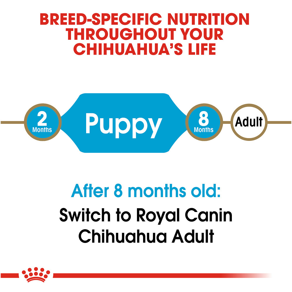 
                  
                    Royal Canin Breed Health Nutrition Chihuahua Puppy Dry Dog Food
                  
                