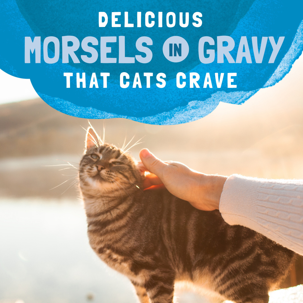 
                  
                    Natural Balance Original Ultra Platefulls Mackerel & Sardine Recipe Morsels in Gravy Wet Cat Food Pouches
                  
                
