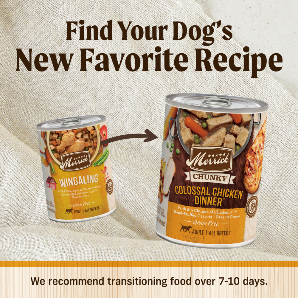 
                  
                    Merrick Grain Free Wingaling Canned Dog Food
                  
                