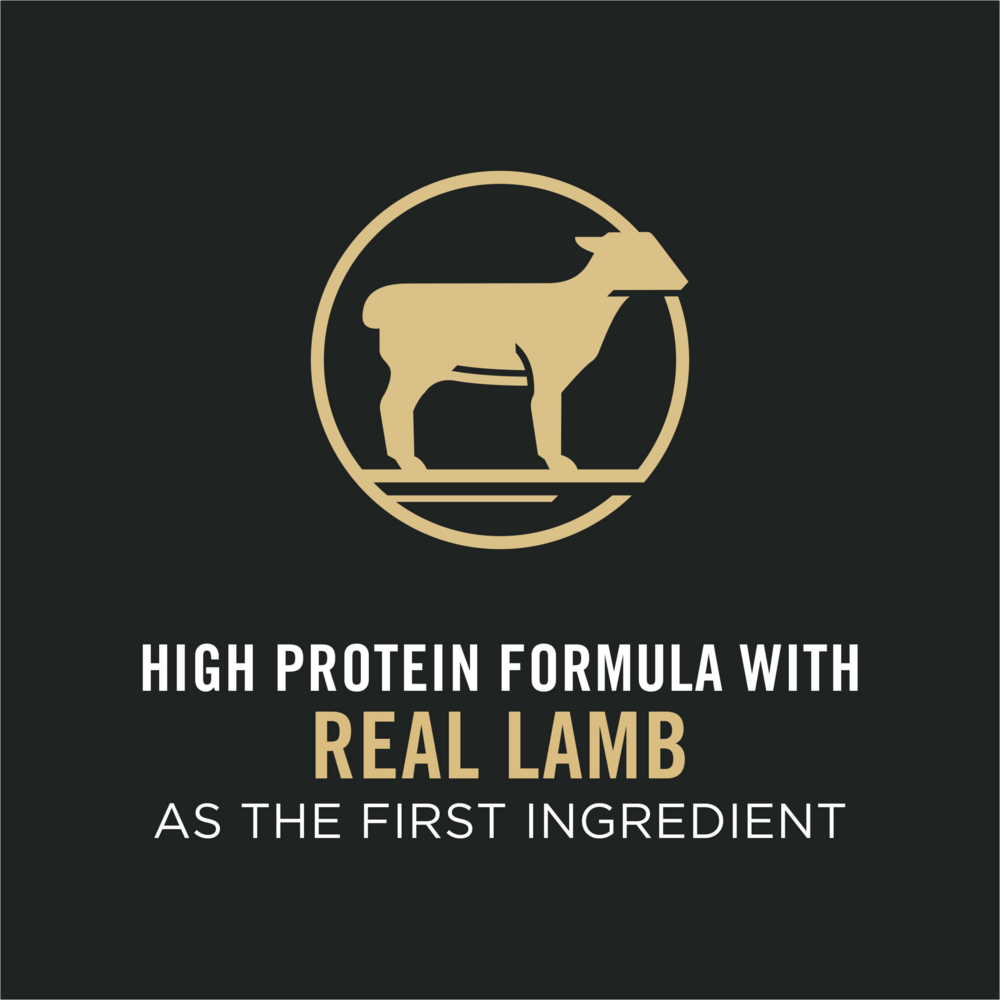 
                  
                    Purina Pro Plan Adult Sensitive Skin & Stomach Lamb & Rice Formula Dry Cat Food
                  
                