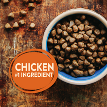 Load image into Gallery viewer, Wellness CORE Grain Free Natural Puppy Health Chicken &amp; Turkey Recipe Dry Dog Food