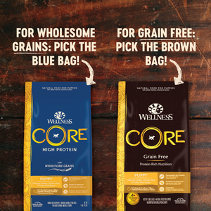 Wellness CORE Grain Free Natural Puppy Health Chicken & Turkey Recipe Dry Dog Food