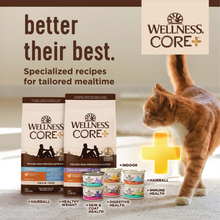 Load image into Gallery viewer, Wellness CORE Grain Free Natural Indoor Health Chicken and Turkey Recipe Dry Cat Food