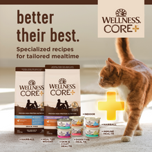 Load image into Gallery viewer, Wellness CORE Natural Grain Free Indoor Chicken and Chicken Liver Smooth Pate Wet Canned Cat Food