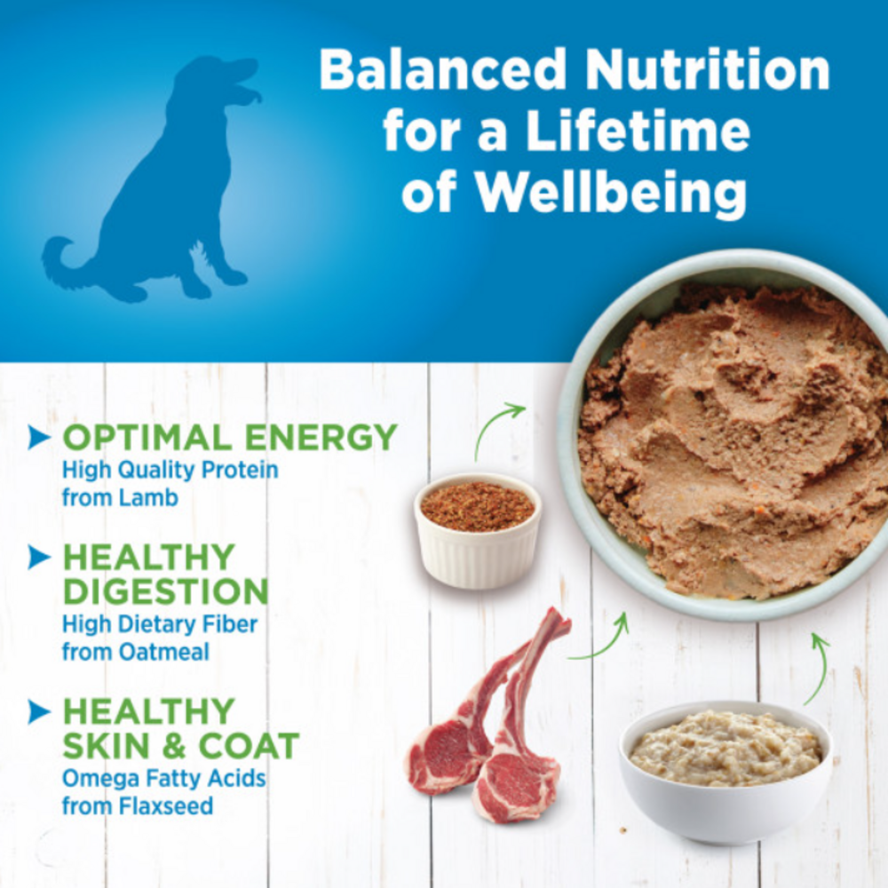 
                  
                    Wellness Simple Natural Limited Ingredient Diet Lamb and Oatmeal Recipe Wet Canned Dog Food
                  
                