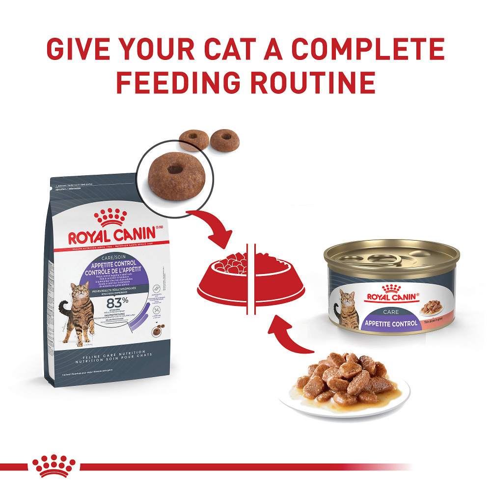 
                  
                    Royal Canin Feline Health Nutrition Appetite Control Dry Cat Food
                  
                