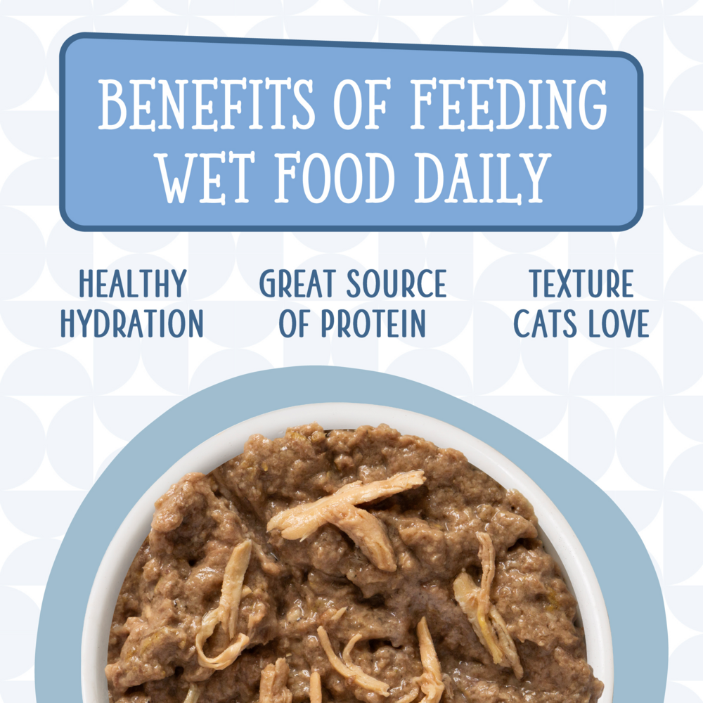 
                  
                    Weruva Cats in the Kitchen Splash Dance Canned Cat Food
                  
                