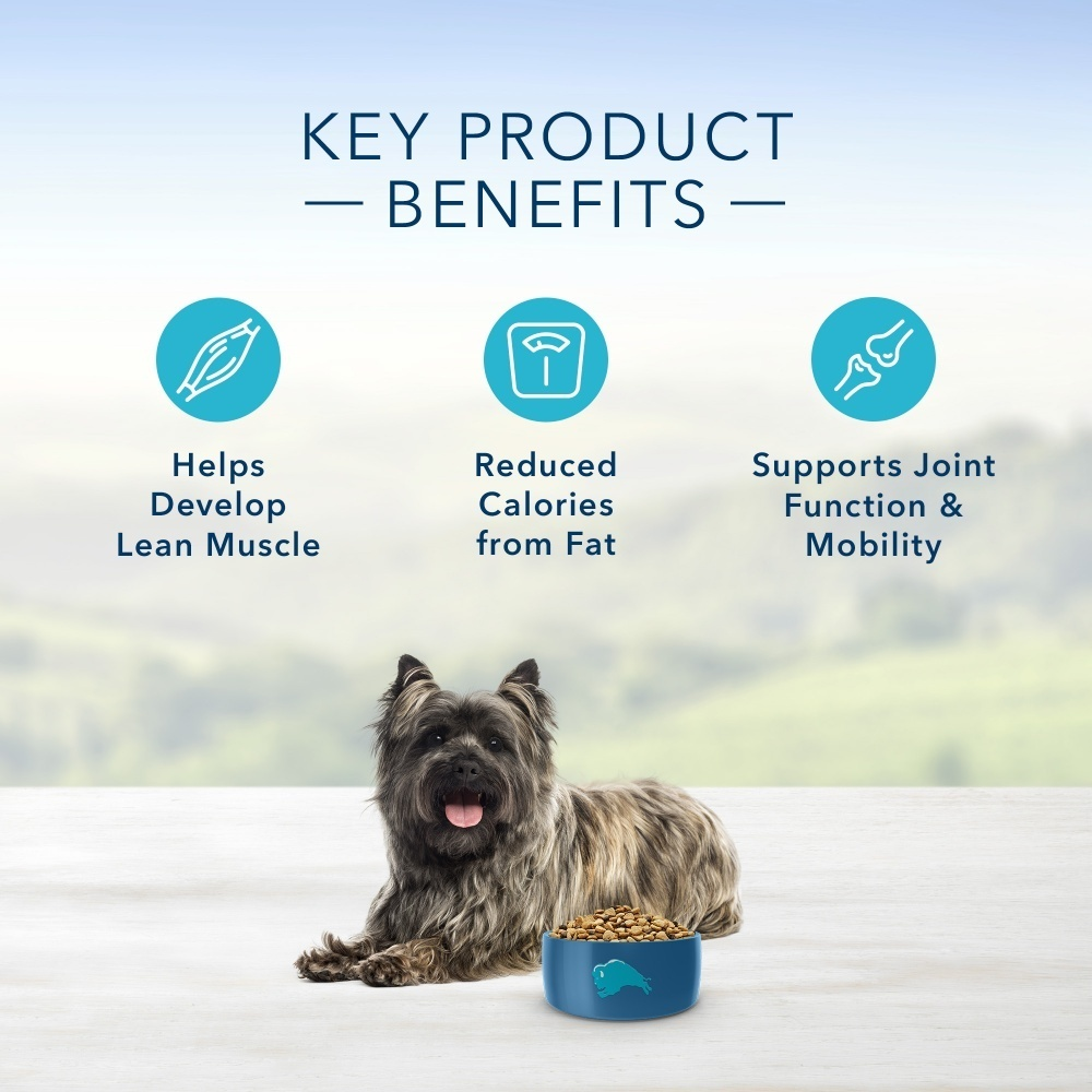 
                  
                    Blue Buffalo Life Protection Formula Healthy Weight Small Breed Adult Chicken & Brown Rice Recipe Dry Dog Food
                  
                