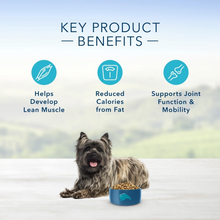 Load image into Gallery viewer, Blue Buffalo Life Protection Formula Healthy Weight Small Breed Adult Chicken &amp; Brown Rice Recipe Dry Dog Food