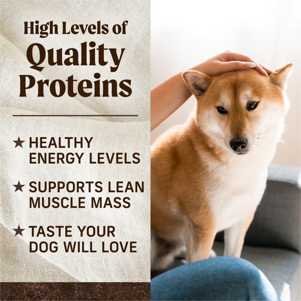 
                  
                    Merrick Premium Grain Free Dry Adult Dog Food Wholesome And Natural Kibble Real Texas Beef And Sweet Potato
                  
                