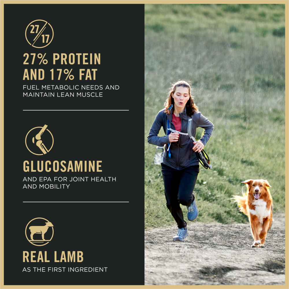 
                  
                    Purina Pro Plan All Life Stages Small Bites 27/17 Lamb & Rice Dry Dog Food
                  
                