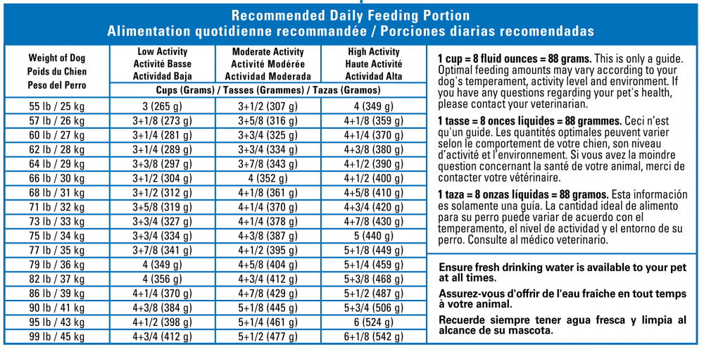 
                  
                    Royal Canin Size Health Nutrition Large Breed Adult Dry Dog Food
                  
                