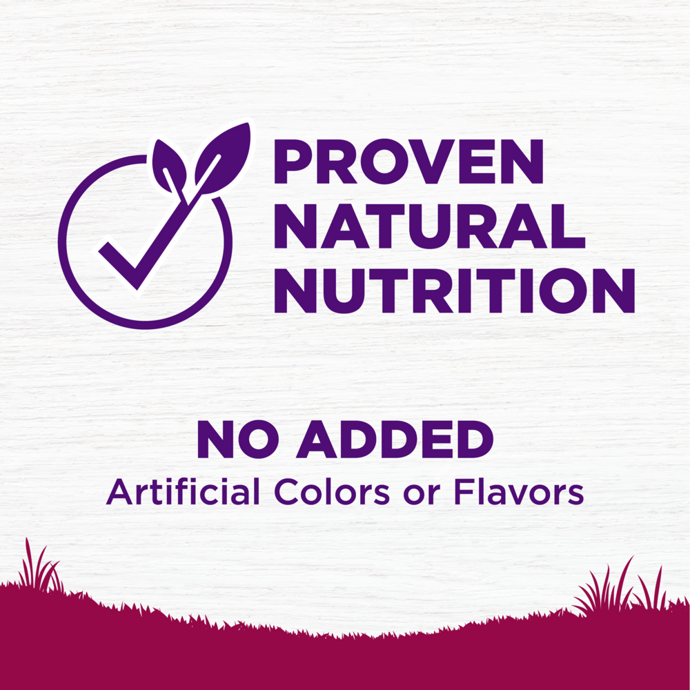 
                  
                    Wellness Complete Health Natural Small Breed Senior Health Recipe Dry Dog Food
                  
                