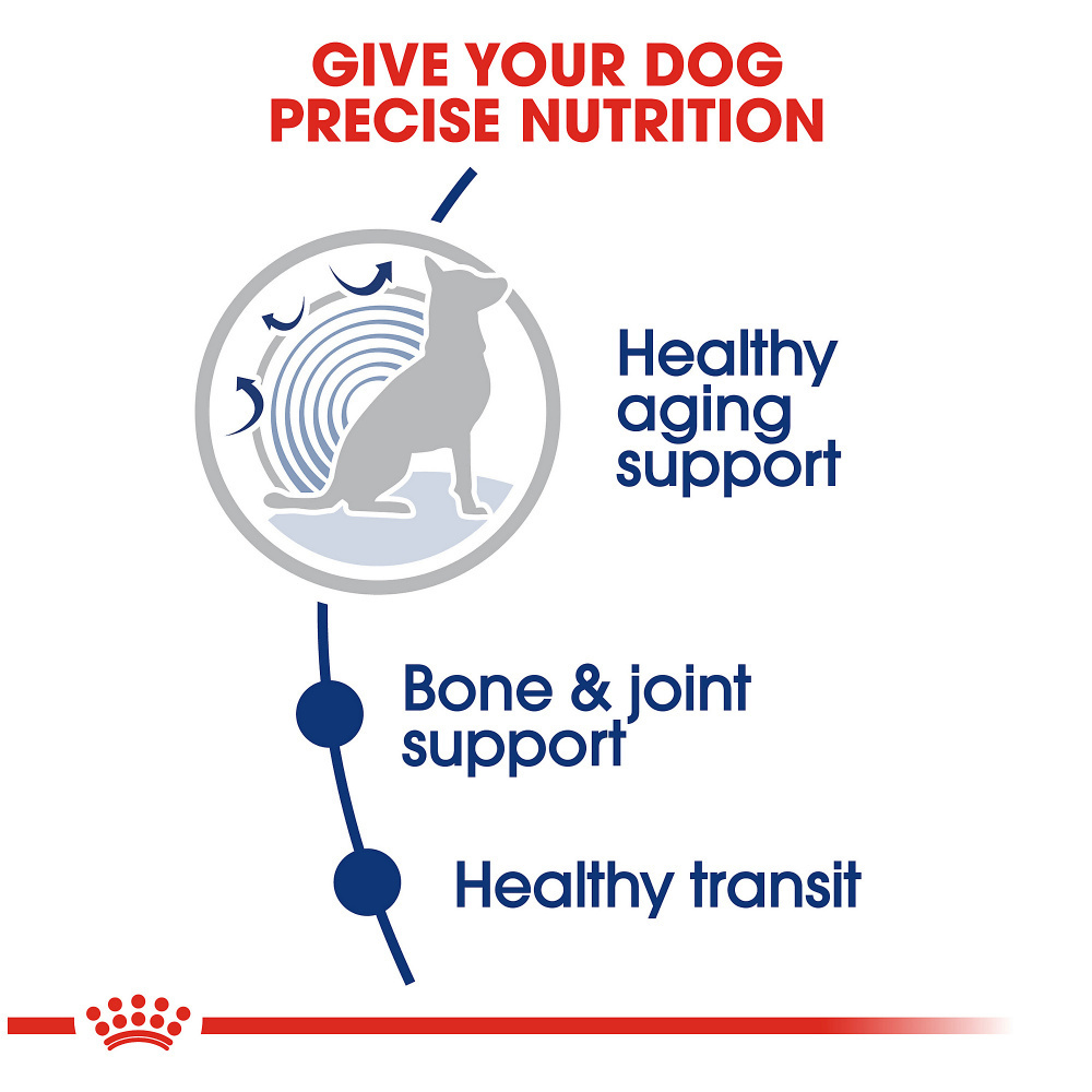 
                  
                    Royal Canin Size Health Nutrition Large Breed Aging 8+ Dry Dog Food
                  
                