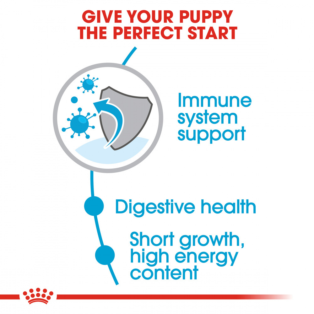 
                  
                    Royal Canin  Size Health Nutrition Medium Puppy Dry Dog Food
                  
                