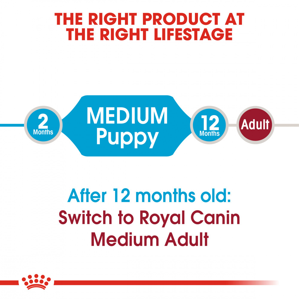 
                  
                    Royal Canin  Size Health Nutrition Medium Puppy Dry Dog Food
                  
                