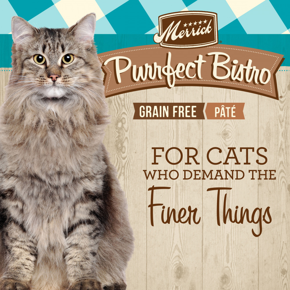 
                  
                    Merrick Purrfect Bistro Grain Free Premium Soft Canned Pate Adult Wet Cat Food, High Protein Duck Recipe
                  
                