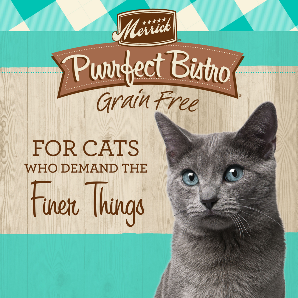 Merrick Purrfect Bistro Grain Free Real Salmon & Sweet Potato Recipe Dry Cat Food