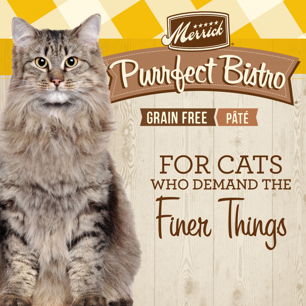 
                  
                    Merrick Purrfect Bistro Grain Free Premium Soft Canned Pate Adult Wet Cat Food, High Protein Chicken Recipe
                  
                